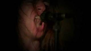 Cervet - Sweet Home Chaos