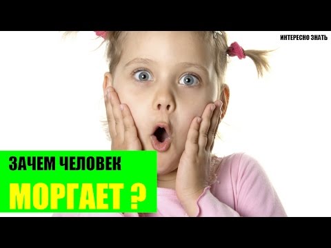 Зачем человек моргает?