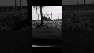 Birkan Nasuhoğlu-Sevda Cover