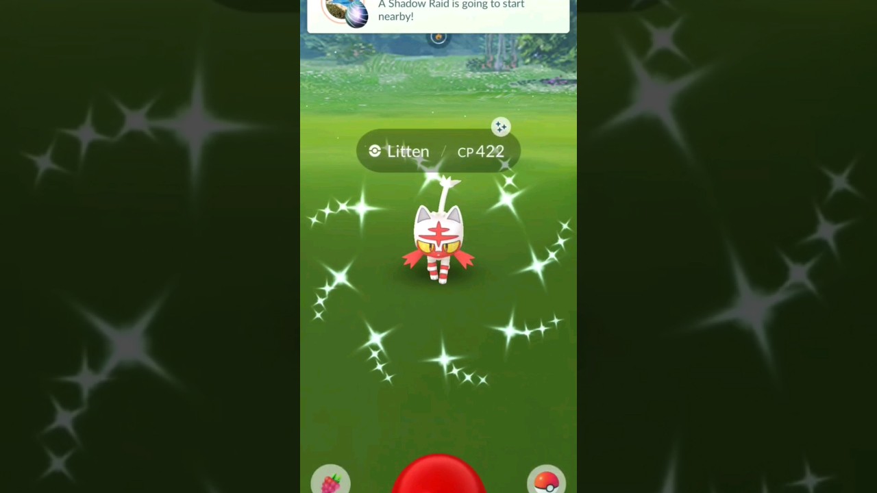 ✨️Shiny Litten Community Day! 