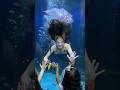 Mermaids make dreams come true! 🥹 #mermaid #mermaidtail #cute #aquarium #underwater #swimming #h2o