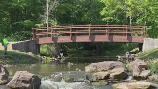 Kucko's Camera: Holley Falls Park