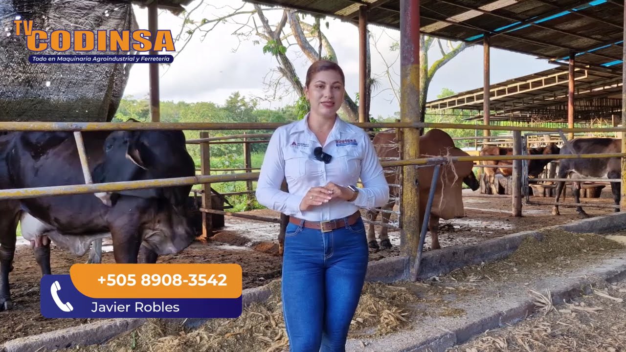 TV CODINSA PRIMERA EDICIÓN DICIEMBRE 2025