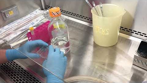 NextGen Tissue Culture Splitting Cells Instructional Video