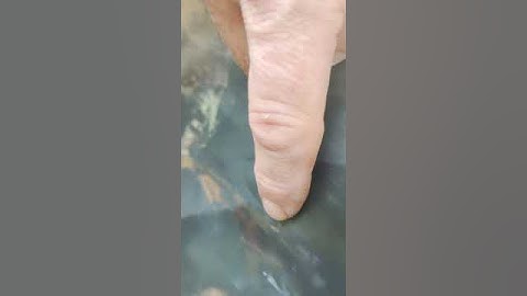 finding a sneaky leaky in the upper pond