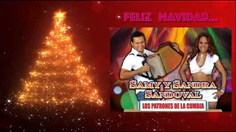 Samy & Sandra Sandoval - Navidad Sin Ti / Aprenderé a Vivir