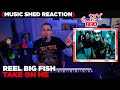 Music Teacher REACTS | Reel Big Fish "Take On Me" | MUSIC SHED EP250
