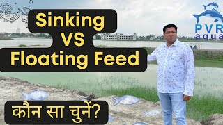 Which Fish Feed is Better Sinking or Floating | Fish Farming Guide