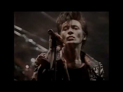 氷室京介  LOVER'S DAY [CD＋LD]