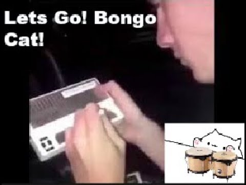 lets-go-car-meme:-*-bongo-cat-edition_*