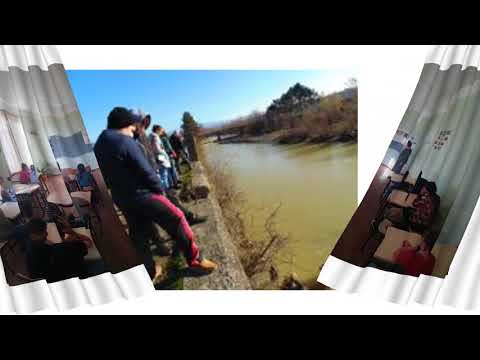 მიმართულება „გარემოს დაცვა  1 1