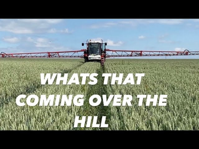 Day461 #OLLYBLOGS KEEPING WHEAT GROWING AND SOME SOIL TYPE CHALLENGES # ...