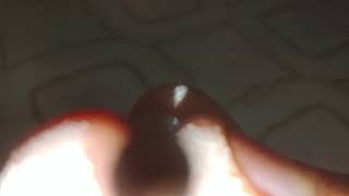 Camera Eye Illusion Experiment 😱 Can Your Eyes Beat the Camera | Experiment X
