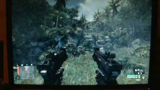Crysis Warhead 9600GT Chicken Bug