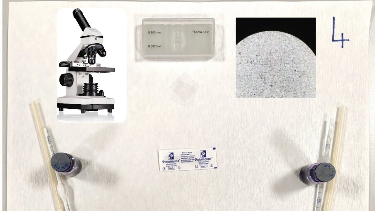 Akyuvar Sayım Deneyi (WBC W/Neubeuer)