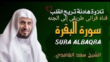 الربع السادس من الحزب الثانى من سوره البقره بصوت الشيخ سعد الغامدي