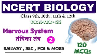 NCERT BIOLOGY : Nervous System / तंत्रिका तंत्र || 120 V.V.I MCQs || Bilingual || Part-2