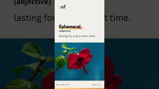 Word of the Day | Study abroad | AEC Bhavnagar #shorts