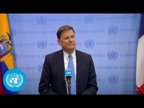 Head of the un peacekeeping force in cyprus on the country | security council | united nations