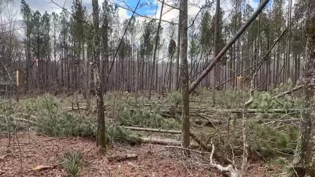 Tornado leaves damage on the ground in McDuffie County - YouTube