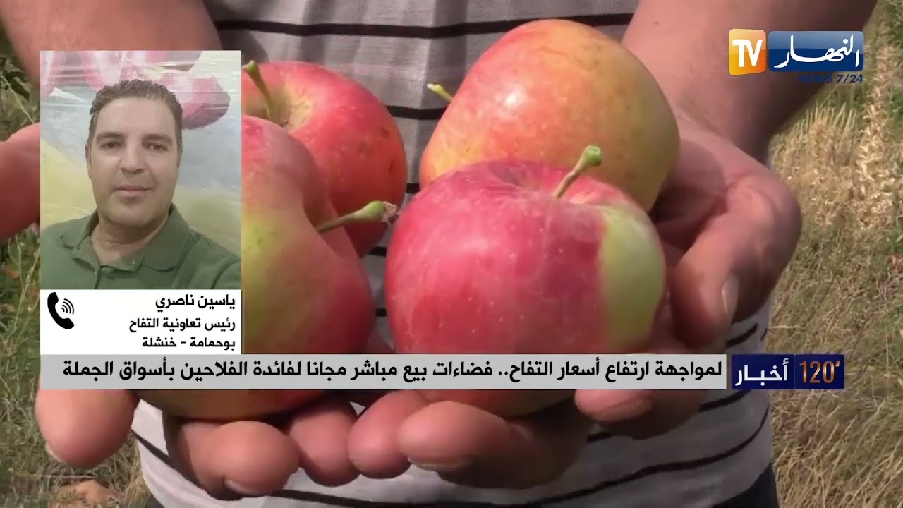 لمواجهة ارتفاع أسعار التفاح.. فضاءات بيع مباشر مجانا لفائدة الفلاحين بأسواق الجملة