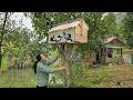 The young woman left the city and went to the forest to build a cage for pigeons.