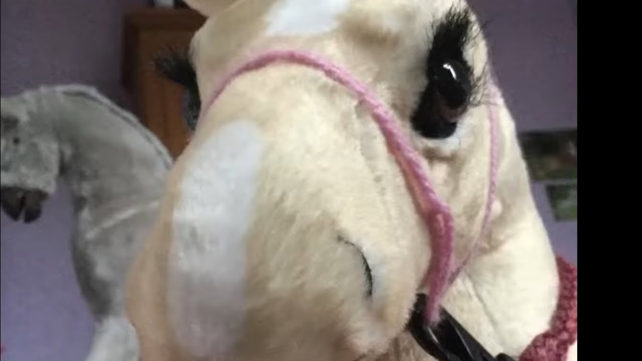 ‪@Lemieux_Horses‬