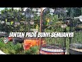 Jemur Burung Sambil Menikmati Keindahan Suaranya Mp3 - Mp4 Download