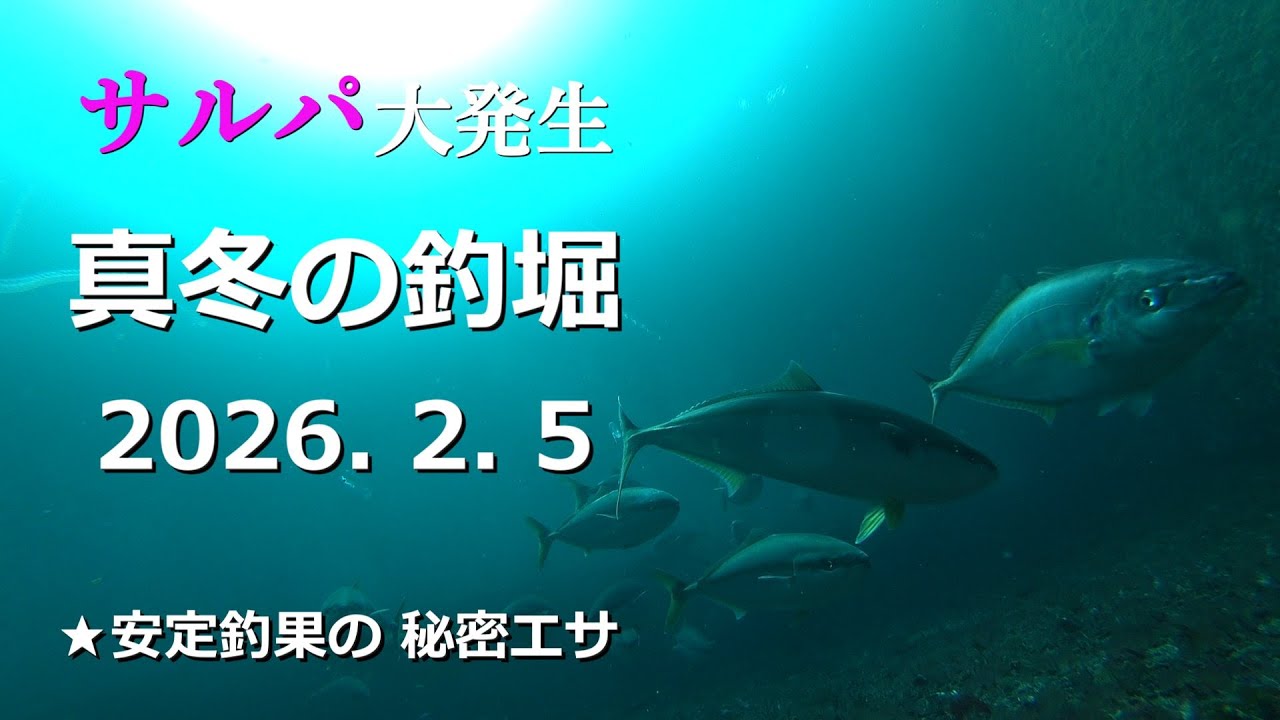 Это запись одиночной рыбалки на озере Маруя в четверг, 5 февраля 2026 года. Зоопланктон «сальпа»,...