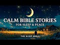 *LIVE* Calm Bible Stories For Sleep | Black Screen With Rain Sounds VOL.5