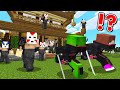 Jai t raid par des ninjas dans miencraft