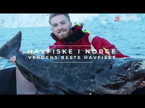 Video: Hvordan Lage Kveite Fisk