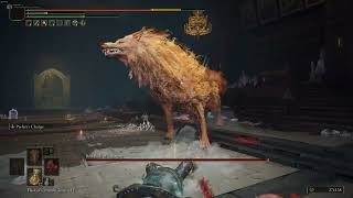 Well, When You Are Overlevel In One Of The Bosses With The Least Health In Elden Ring Well...