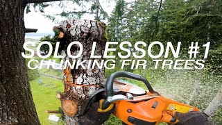 SOLO Lesson #1: Chunking Some Fir Trees Wealth