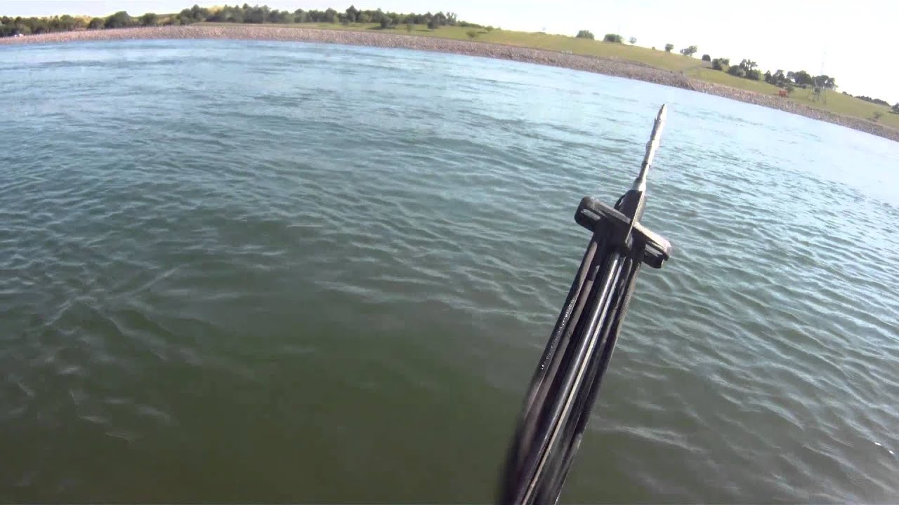 Spearfishing at Big Bend Dam, SD YouTube