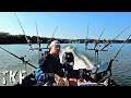 Epic catfish fishing marathon  tiny boat fishing