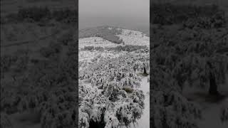 Nevado en otos Murcia 2018 aguile