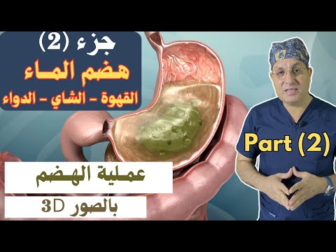رحلة طعام مصورة داخل جسم الانسان هضم الماء والفهوة والدواء