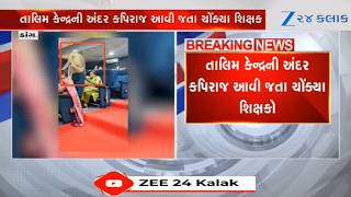 Gujarat: Monkey disrupts census training camp in Dang, sits on woman's head for minutes; video viral