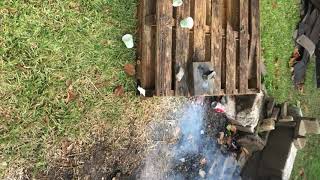 IMG 1851