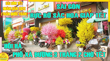 Sài Gòn RỰC RỠ SẮC HOA Giáp Tết | SẮC XUÂN Đường 3 Tháng 2 (Trần Quốc Toản) Đón Tết Nhâm Dần 2022