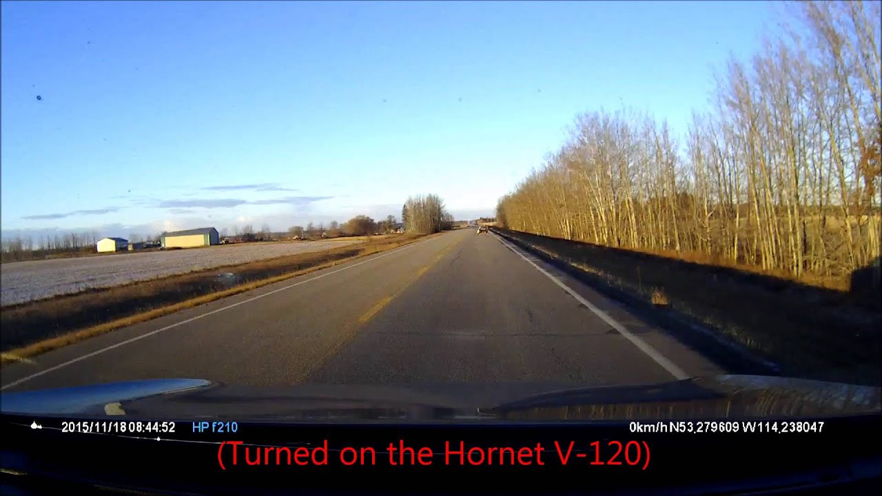 Hornet V-120 Deer Whistle - Funny Test!