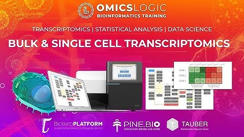 Single Cell RNA-Seq | Data Analysis - Dr. Raghavendran L. (Bioinformatics Mentor, Pine Biotech)