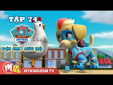 ĐỘI CHÓ CỨU HỘ PAW PATROL MINI | Tập 74 | Phim hoạt hình