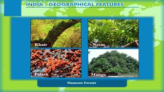 India - Geographical Features - Types Of Natural Vegetation Class - 8