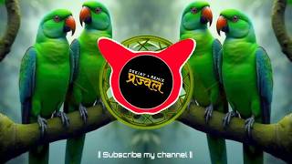 Riva Riva X Pinjre Mein Popat Bole - Sandal Mix | DJ Prajwal Remix 👑 | Old Dj Tapori Song Remix