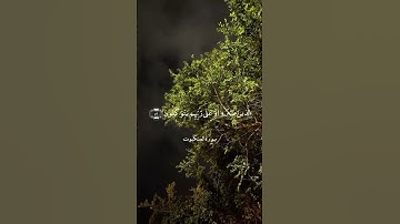 القارئ حمزه سعيد #fypシ #قرآن #fypage #quran #viral #الله #اللهم_صل_وسلم_على_نبينا_محمد #سبحان_الله
