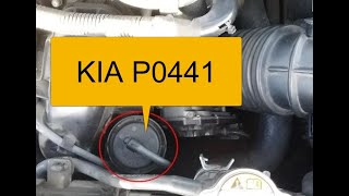 How to Fix KIA P0441 Code: Evaporative Emission Control System Incorrect Purge Flow Wealth