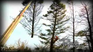 Rick s Tree Service LLC Tree Trimming Aston PA