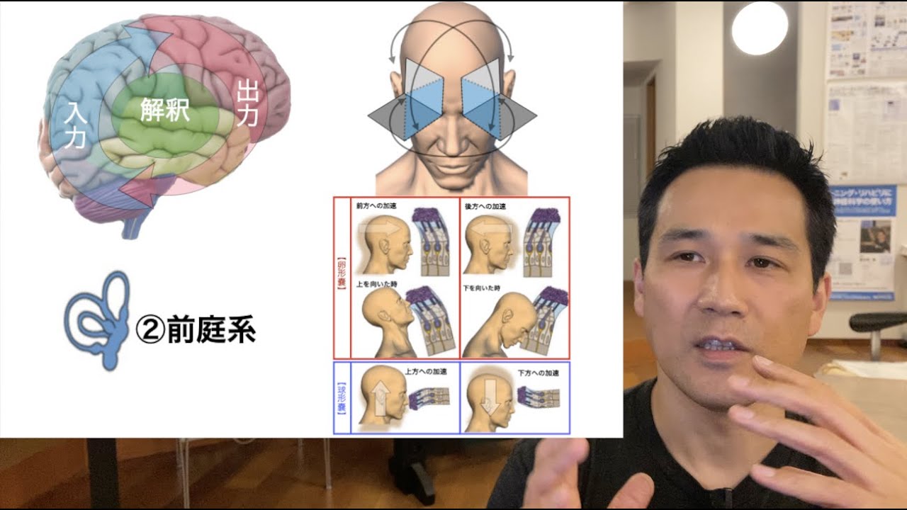 本日は 視覚、前庭、体性感覚の基本的な機能を理解して姿勢や歩行への影響を分析できるようになれるような考え方の紹介です。